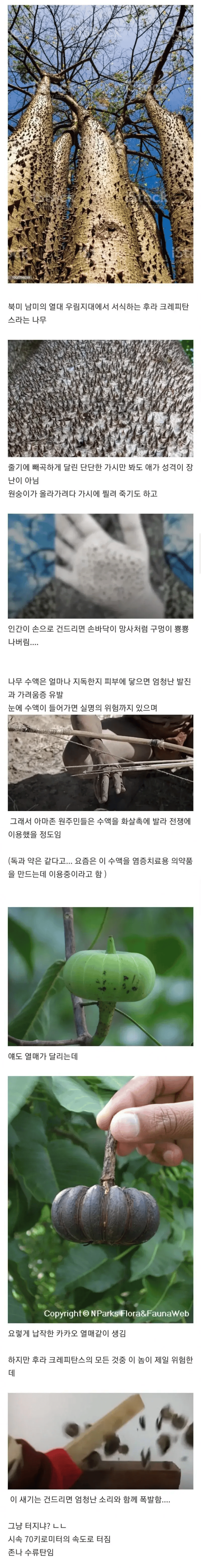 첨부 미디어 1