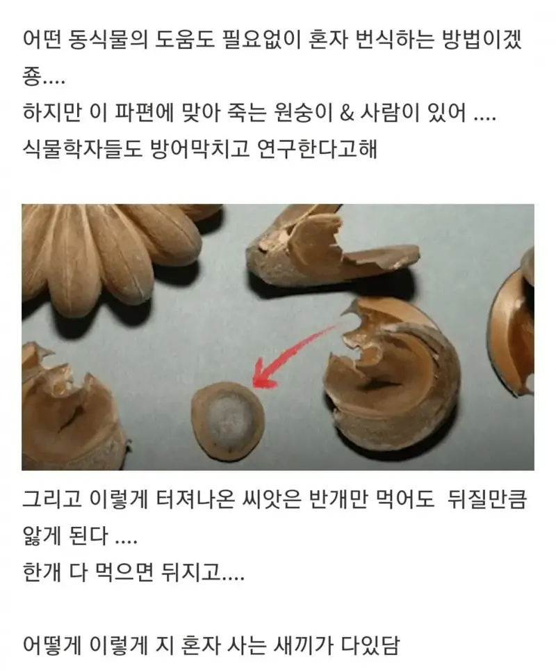 첨부 미디어 3