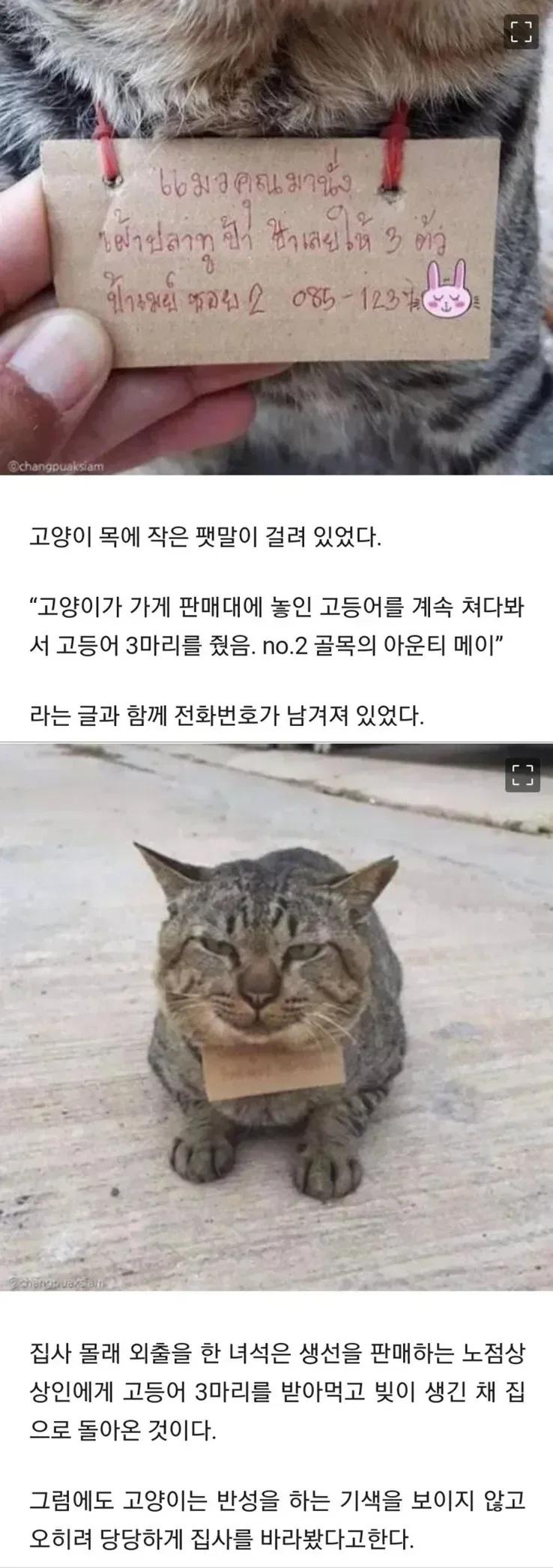 첨부 미디어 1