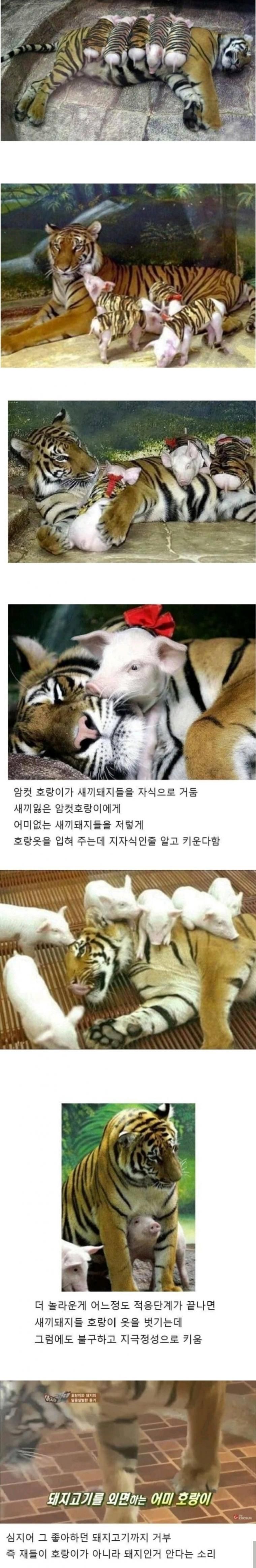 첨부 미디어 1