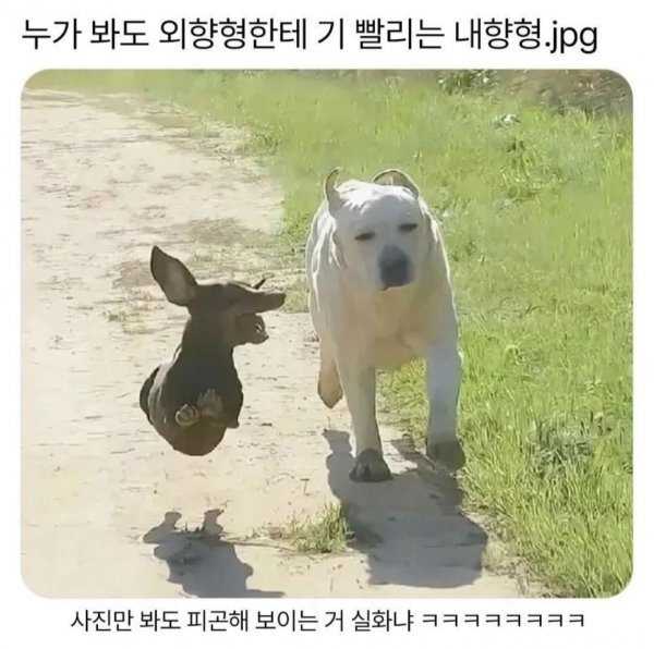 첨부 미디어 1