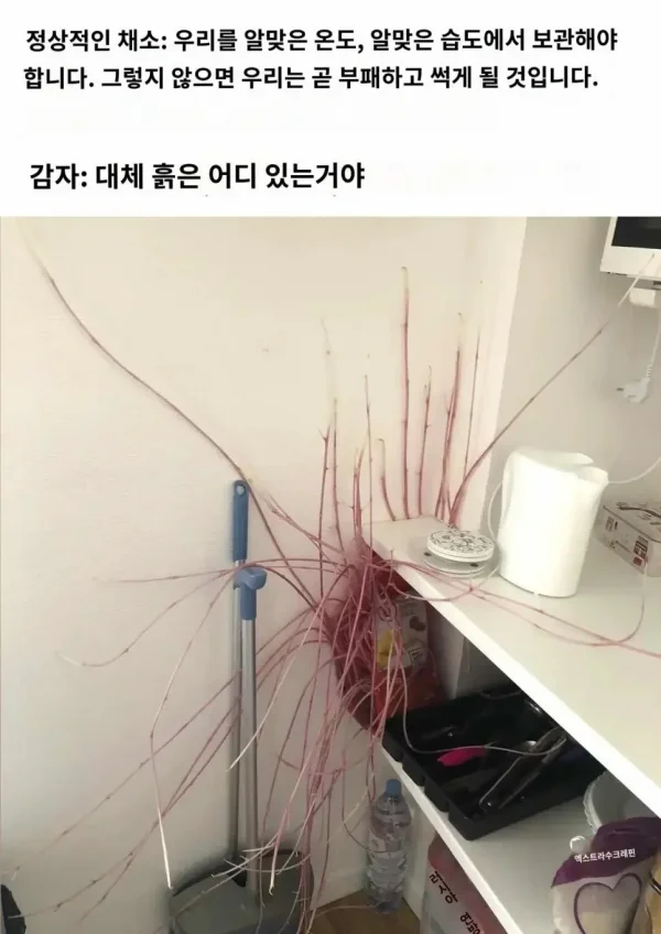 첨부 미디어 1