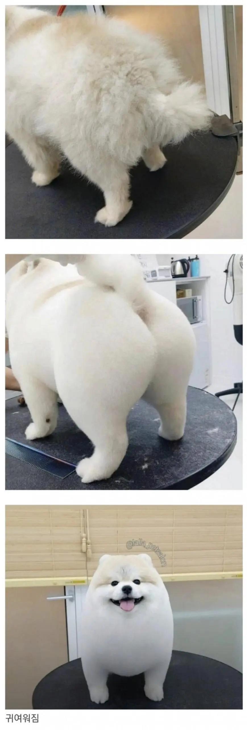 첨부 미디어 1