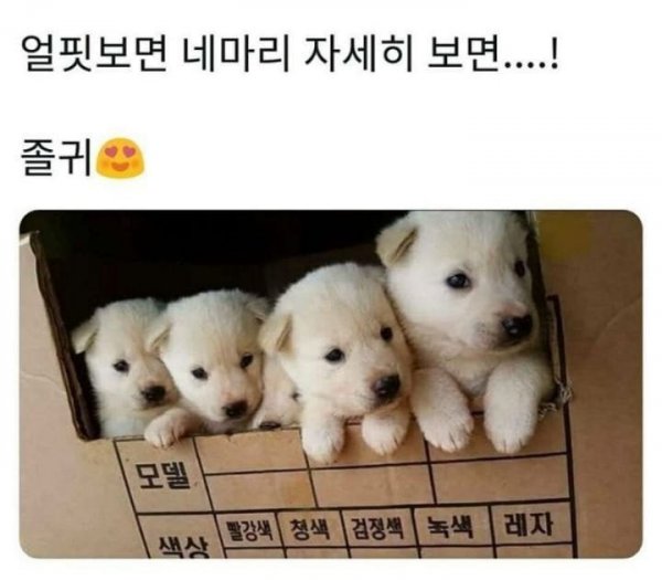 첨부 미디어 1