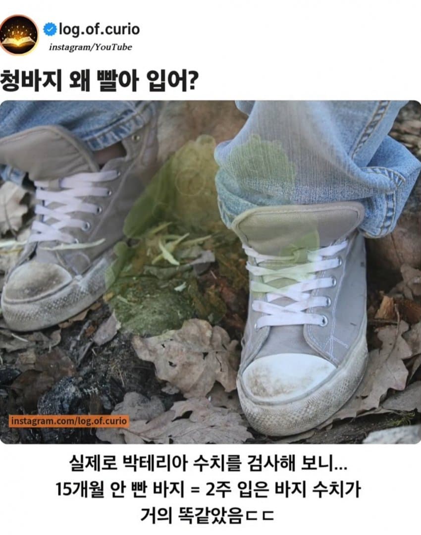 첨부 미디어 2