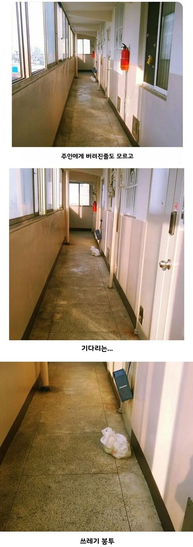 첨부 미디어 1